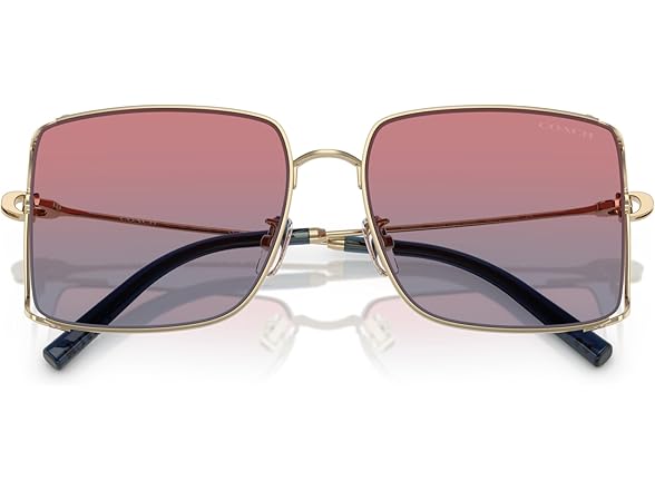 COACH Women's Sunglasses HC 7174 D