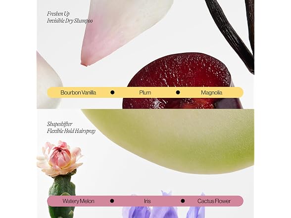 EVANYC Eva NYC Invisible Dry Shampoo and Flexible