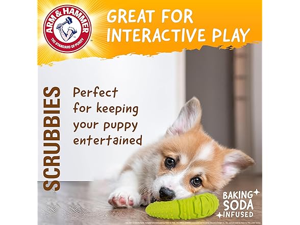 Arm & Hammer Scrubbies Boomerang Dental Chew Toy