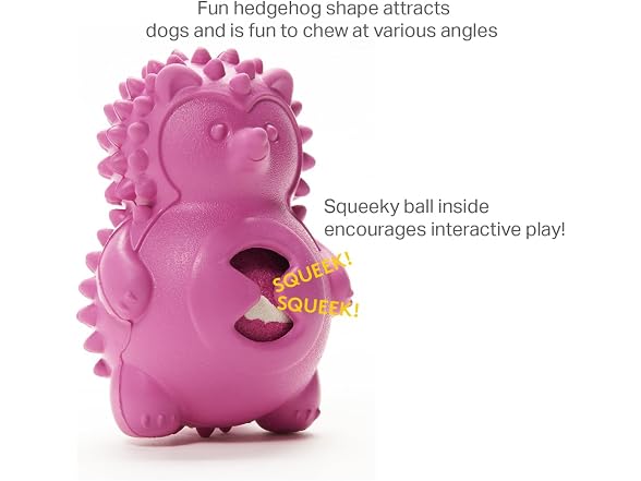 Friends Forever Squeaky Dog Toys with Tennis Ball