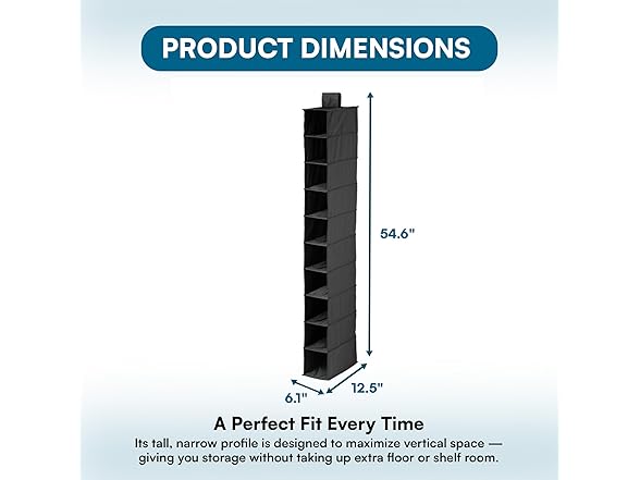 Honey-Can-Do 10-Shelf Hanging Shoe Organizer, Black 