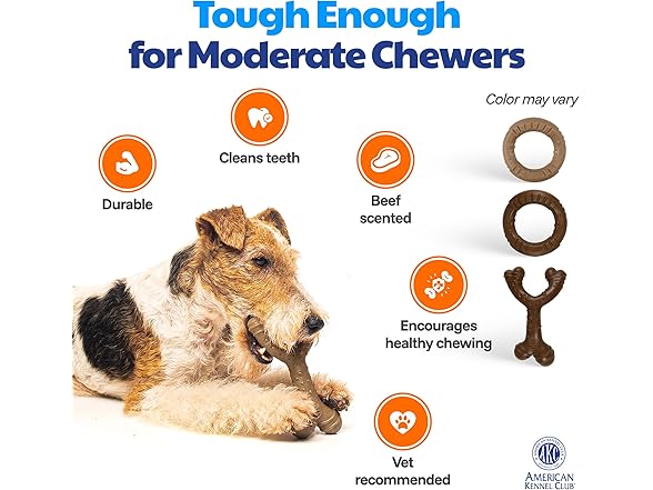 American Kennel Club 2 Pack Training Dog Chew