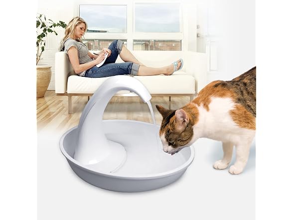 Pioneer Pet Swan Fountain, 80oz