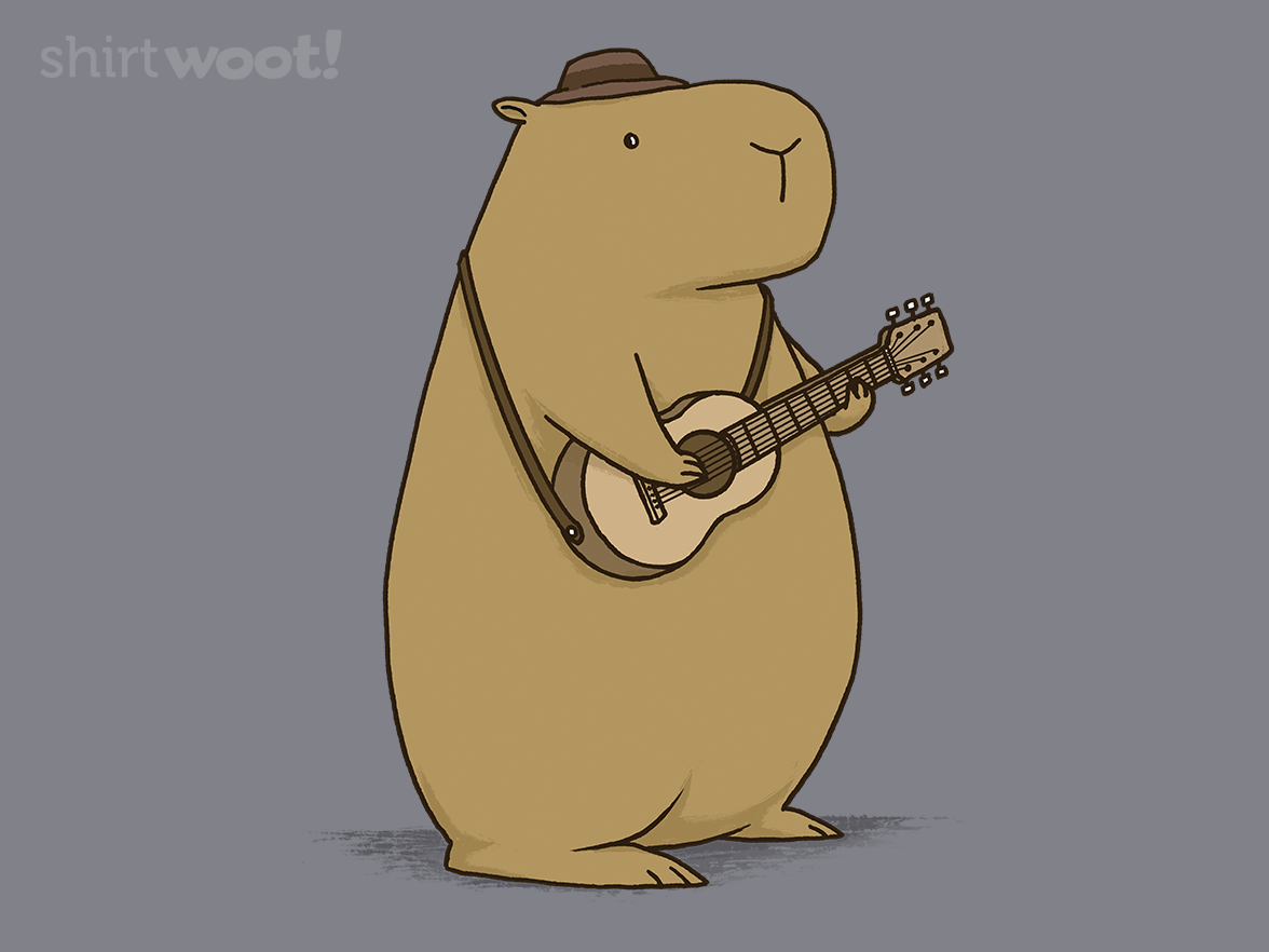 Guitarist Capy - Gallery 4