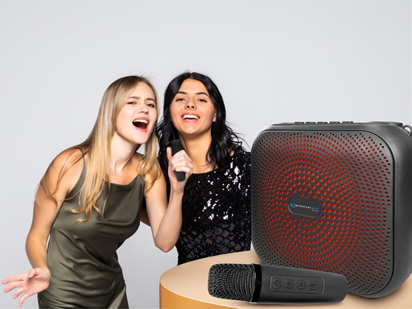 8" Karaoke Speaker w/ 2 Mics