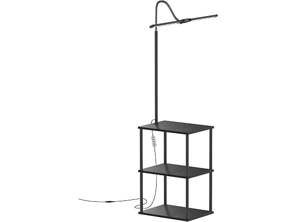ROTTOGOON LED Floor Lamp