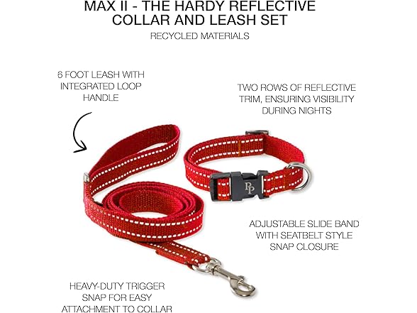 Pet Passion Max II - 2-Pack Reflective Leash & Collar