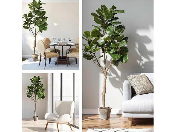 National Tree Company 79 Inch Artificial Fiddle Leaf Fig Tree in Clay Pot
