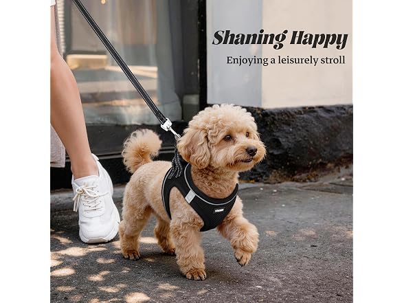 YIMEIS No-Pull Dog Harness Leash Set