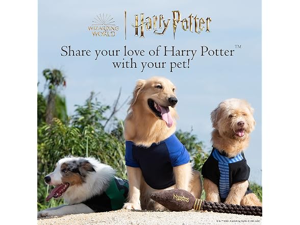 Harry Potter Ravenclaw Dog Sweater, Medium