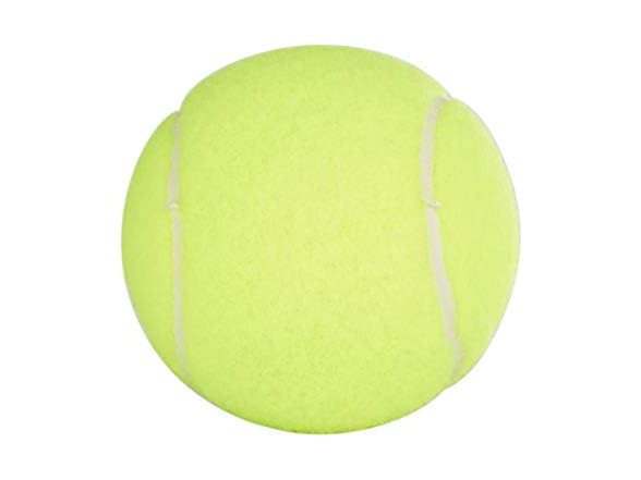 Penn Championship Tennis Balls -
