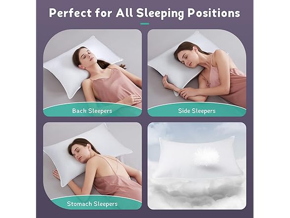 PlushHavenCloud White Goose Down Pillow