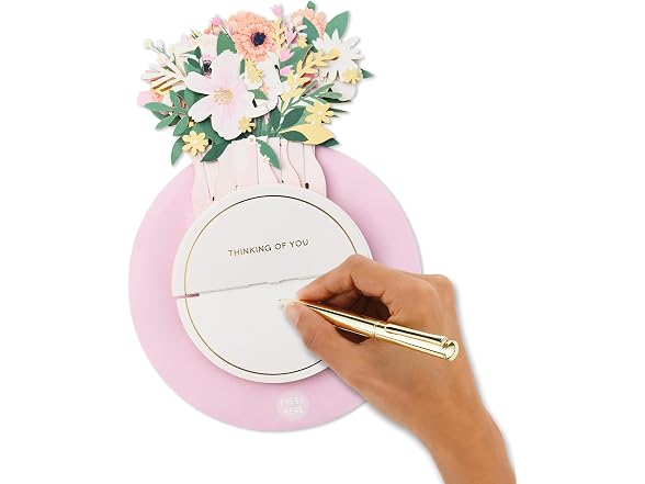 Hallmark Paper Wonder Spinning Pop-Up