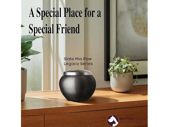 Pet Urn - Memorial Cremation Pet Urns for Dog