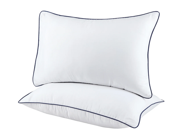 Dan River 2 Pack Down Alternative Pillow Set