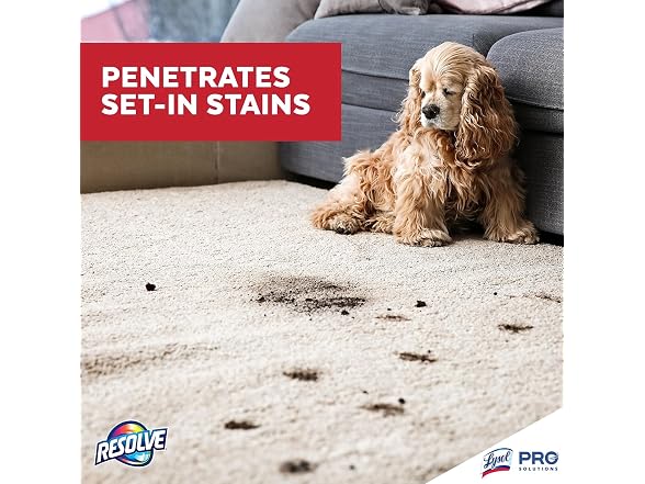 Resolve Resolve Professional Spot and Stain Read