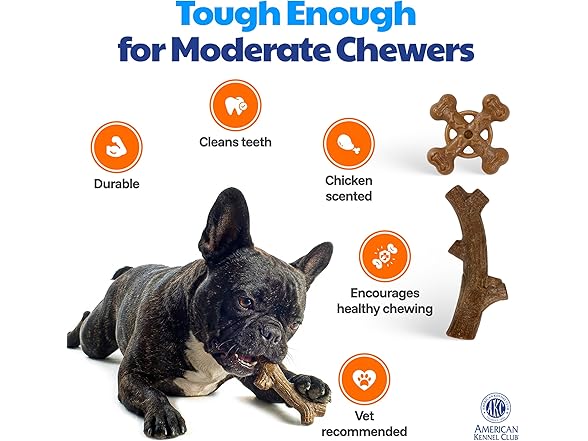 AKC 2 Pack Training Dog Chew Toy, Wood-Infused