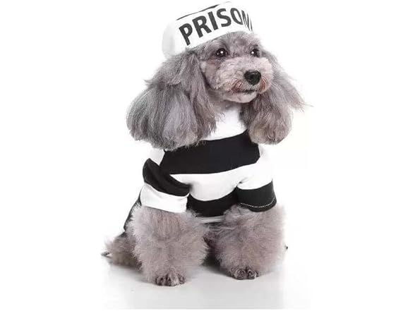 Pet Life ® 'Retro Inmate' Dog Costume