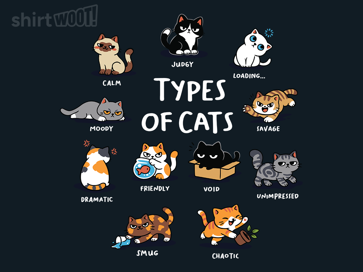 Types of Cats - Gallery 9