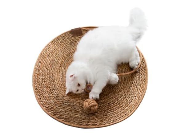 SSDHUA Round Cat Scratching Board Bed