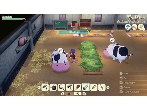 STORY OF SEASONS: Grand Bazaar Premium Edition - Gallery 6