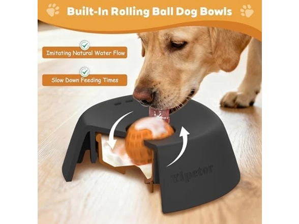 Slow Feeder Dog Bowl for Liquid Treats