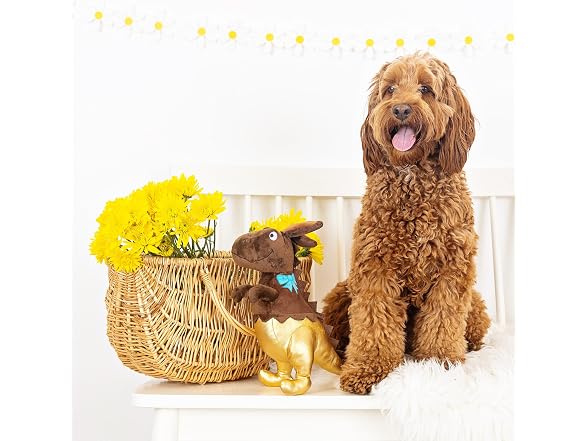Fringe Studio Plush Dog Toy, Choc-A-Saurus Rex
