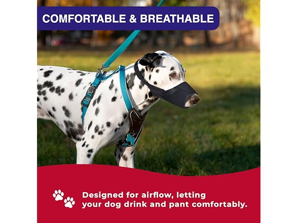 Coastal Pet Best Fit 13" (X-Large)