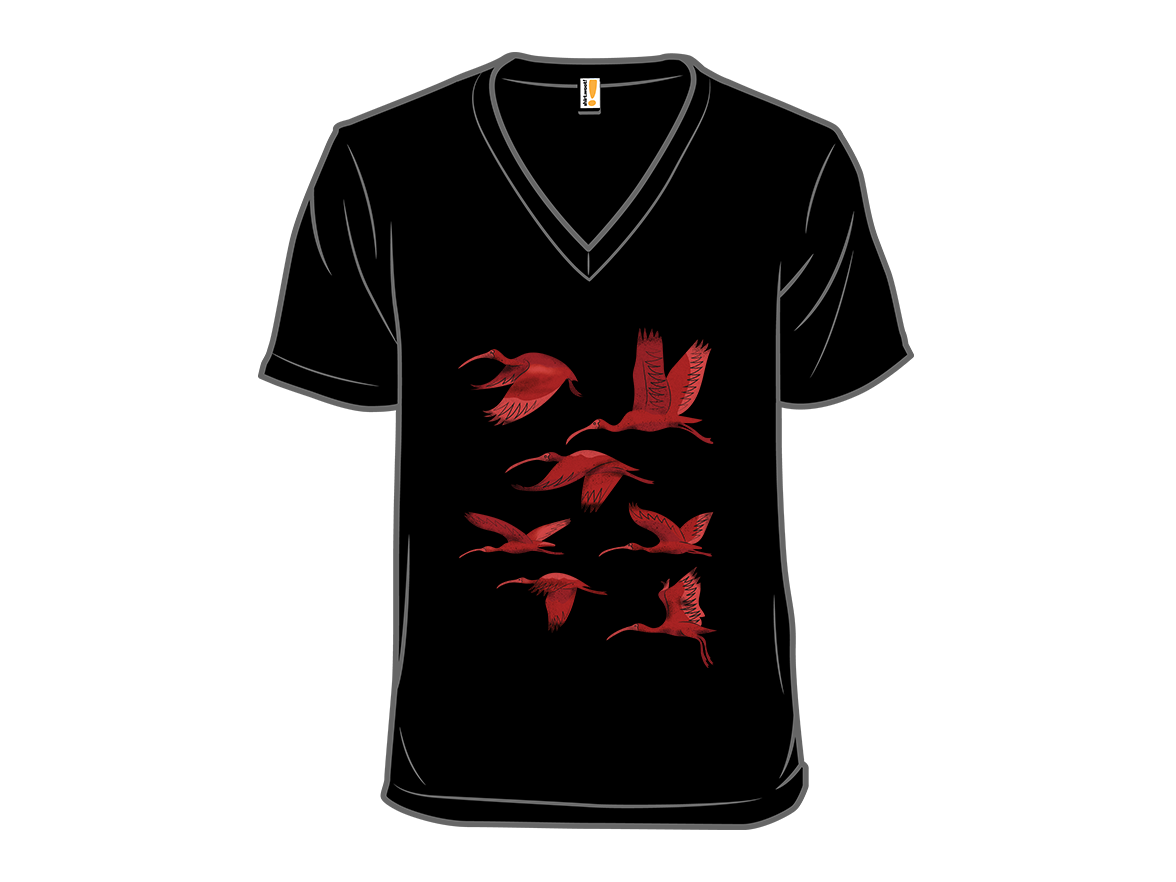 Flock of Flamingos - Gallery 10
