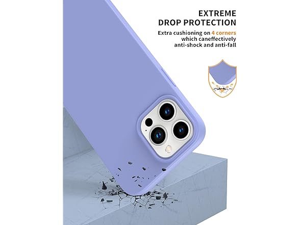 iPhone 13 Pro Max Case