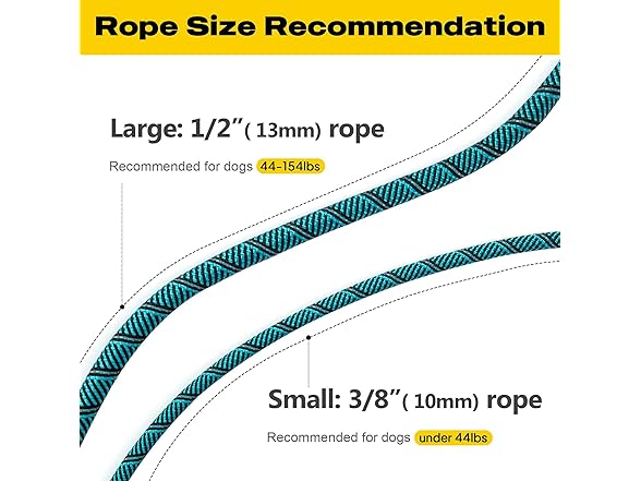 Fida Durable Slip Lead Dog Leash, 6 FT