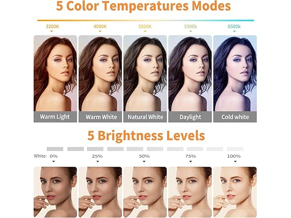 ACMEZING Video Conference Lighting Kit