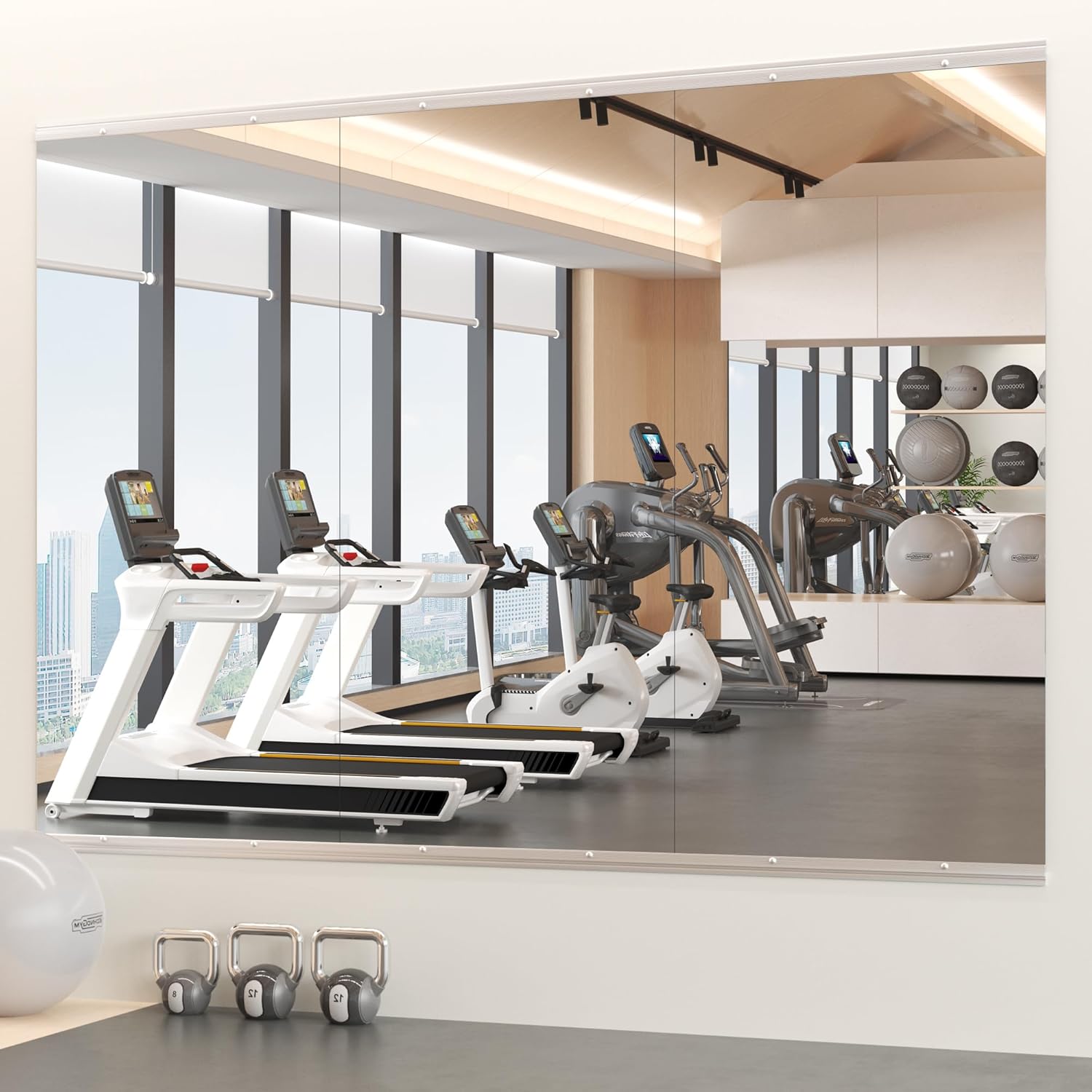 Snowdool Home Gym Mirror - Gallery 2