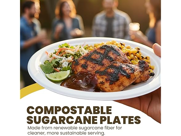 Sugarcane Paper Plates 9" 100ct