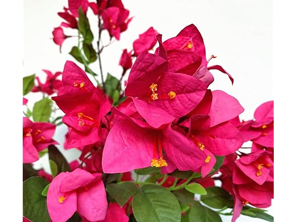 kimbovillea Artificial Silk Flowers
