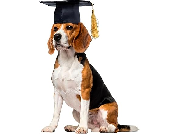 Rubies Graduate Pet Hat for Dogs or Cats, S/M