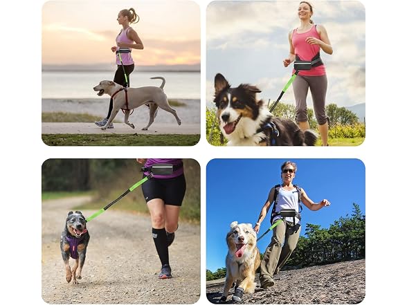 Hands Free Dog Leash, Dual Handle Retractabl
