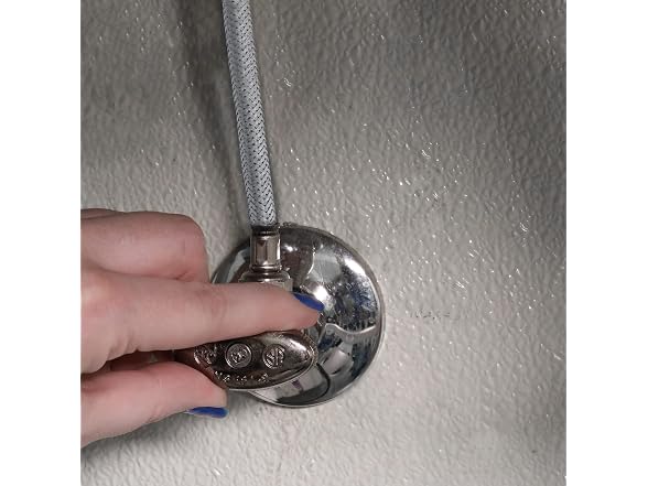 Danco 59831 20-Inch Faucet Connector, Stainless