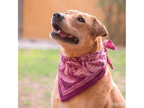 Karma, Large 100% Cotton Bandana: Your Choice 