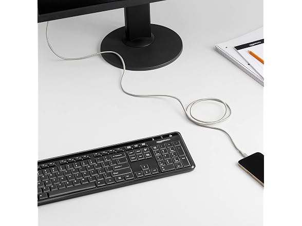 Amazon Basics USB-A to Lightning Cable