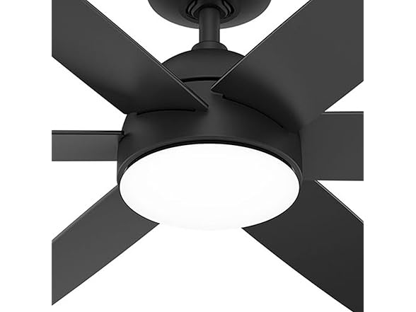 Hunter Fan 52 inch Black Indoor Ceiling Fan w/ Light