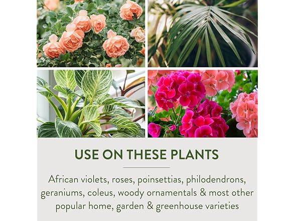 Garden Safe Take Root Rooting Hormone