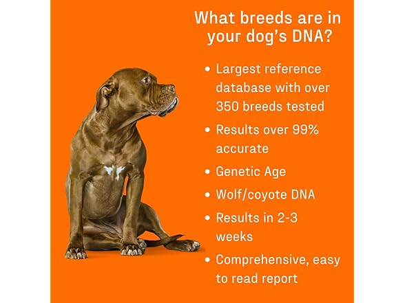 DNA MY DOG Premium Test