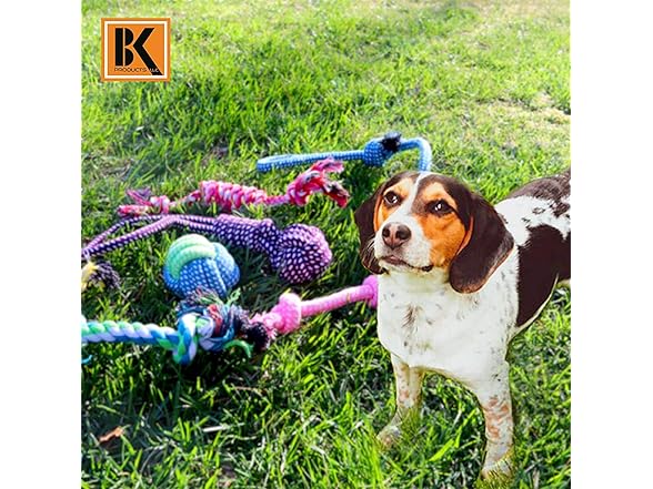 BK PRODUCTS LLC 7 Dog Chew Toys Made