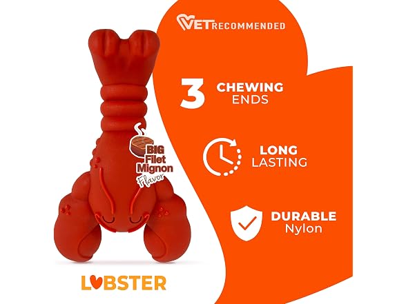 Nylabone Lobster Power Chew Toy for Dogs, Dog