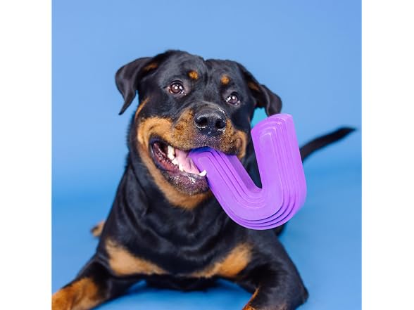 Fringe Studio Color ME Happy Purple Rubber Dog Toy