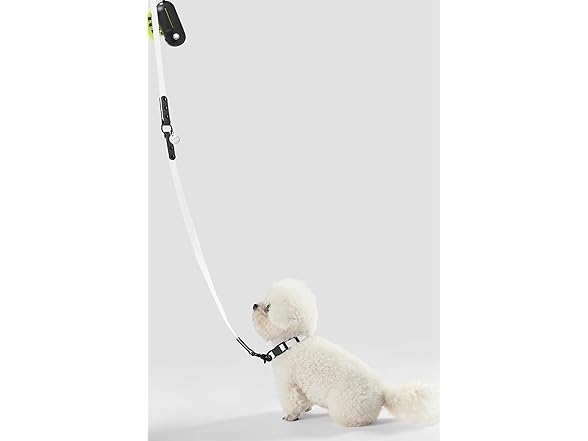 Luna Small 8FT Adjustable Waterproof Hands-Free Leash