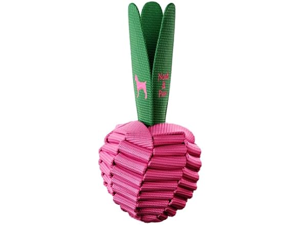 NOAH & PAW Luxury Dog Toy, Beet