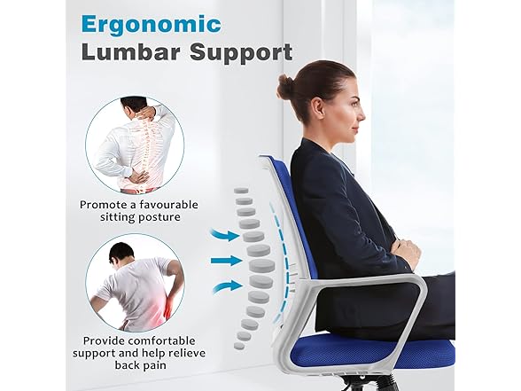 OLIXIS Ergonomic Home Office Chair - Rol