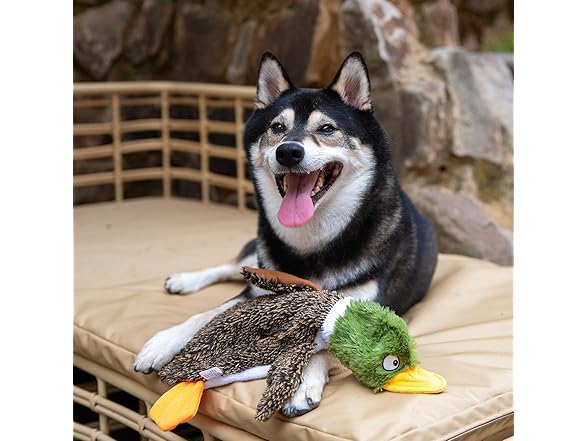 Best Pet Supplies Squeaky Dog Toys with Soft